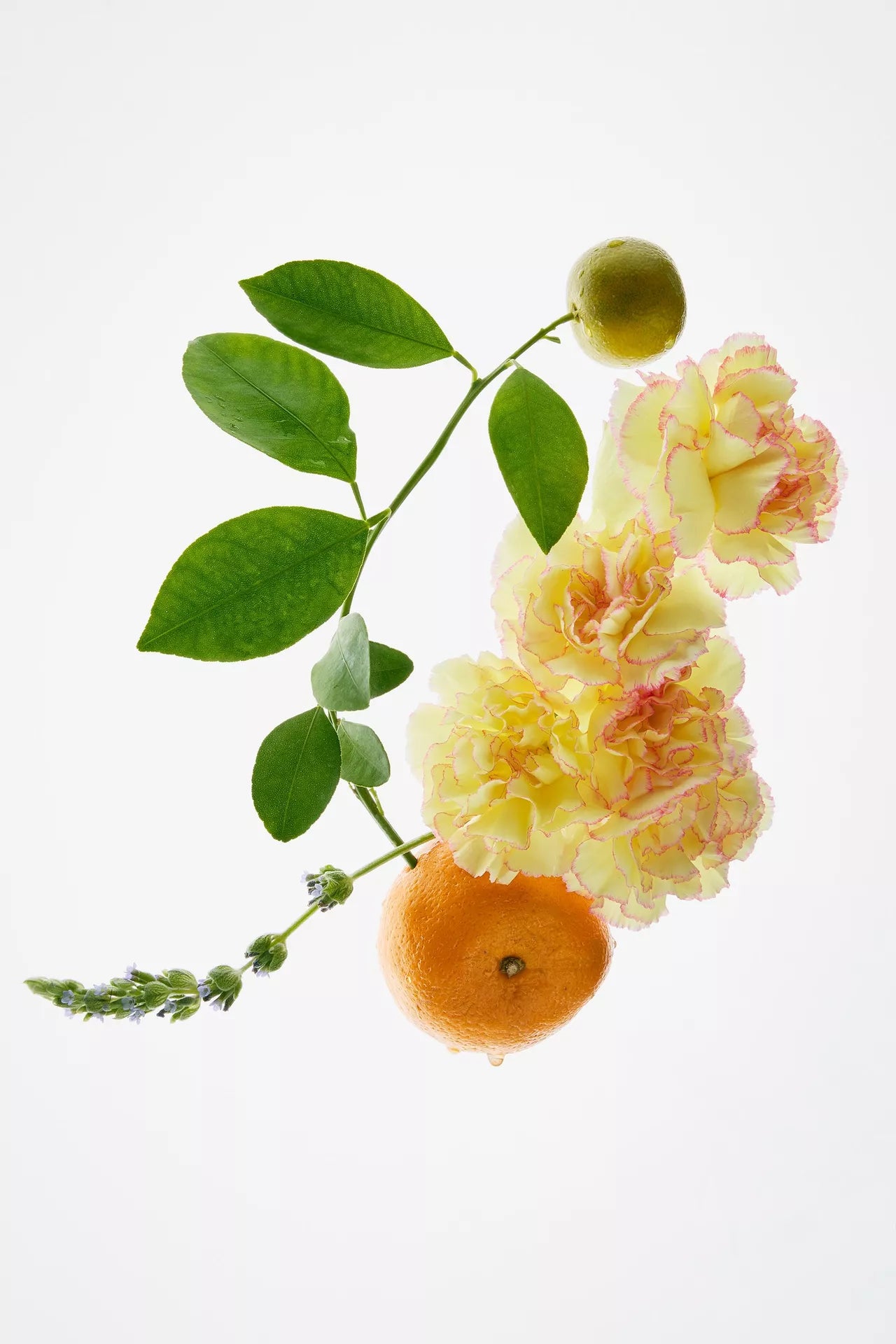 Perfum Golden Floral decade 30ML