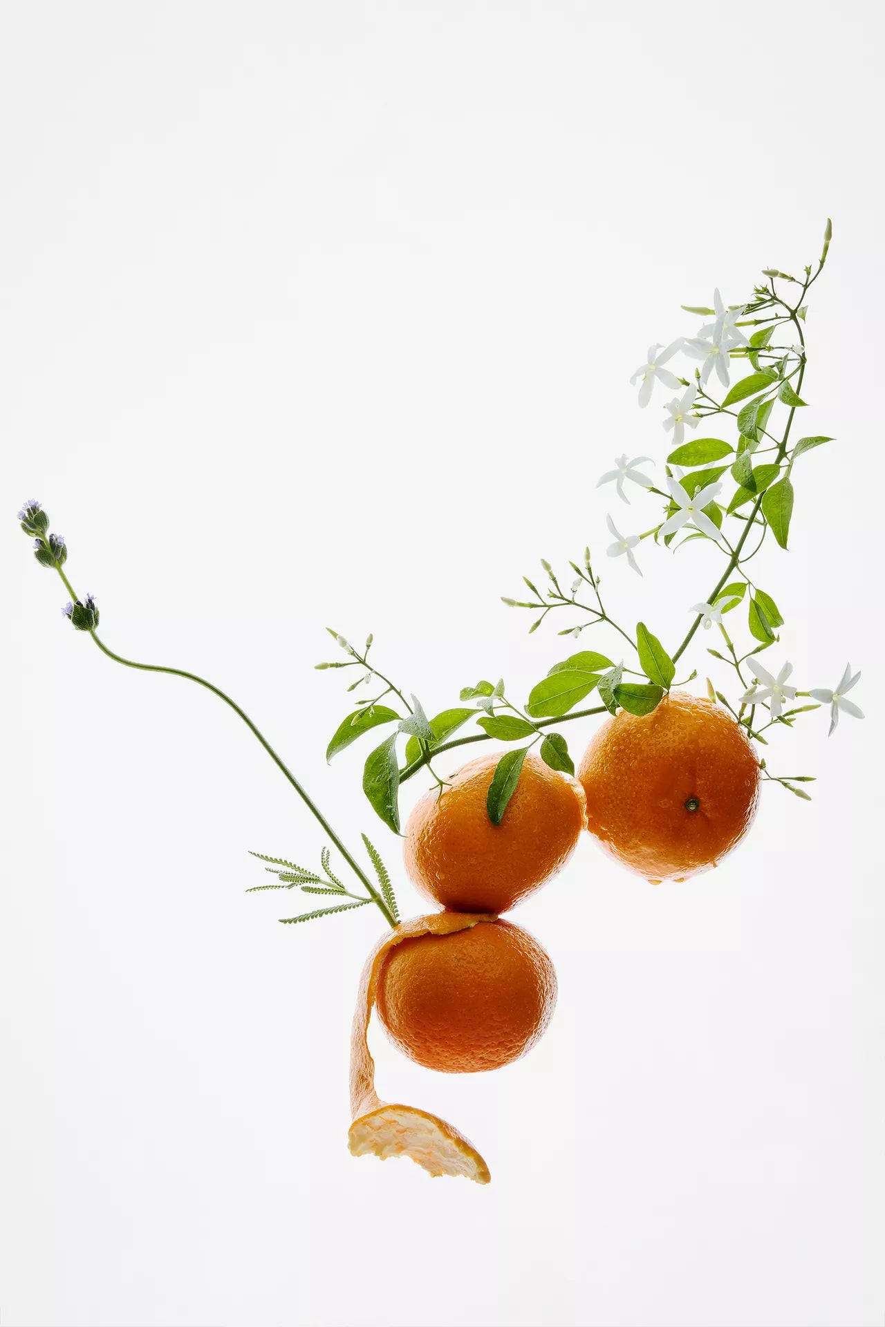 Perfum Golden decade - 30ML